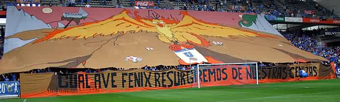 tifo ave fenix